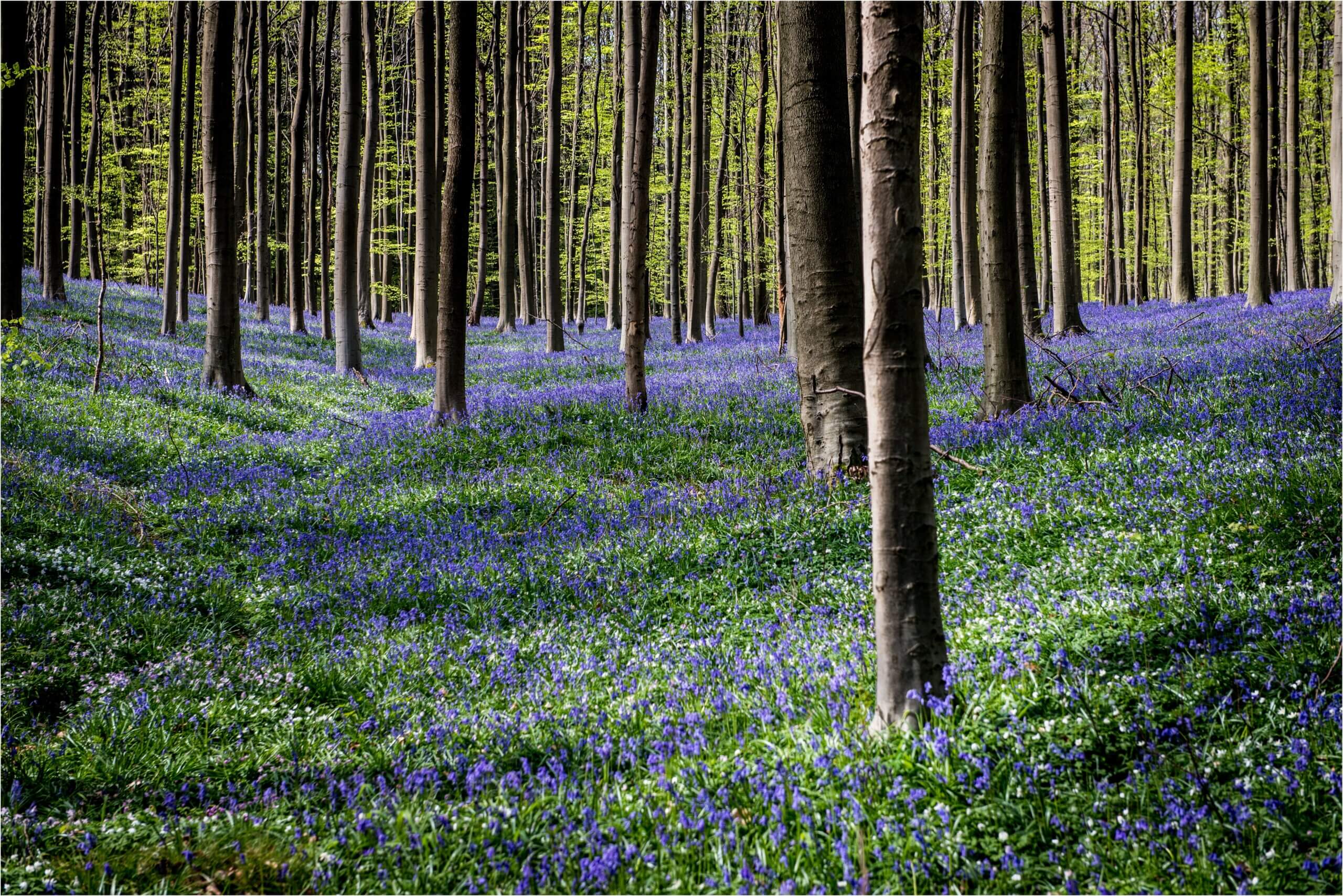 How Do I Plan My Legacy and Protect My Family’s Future?