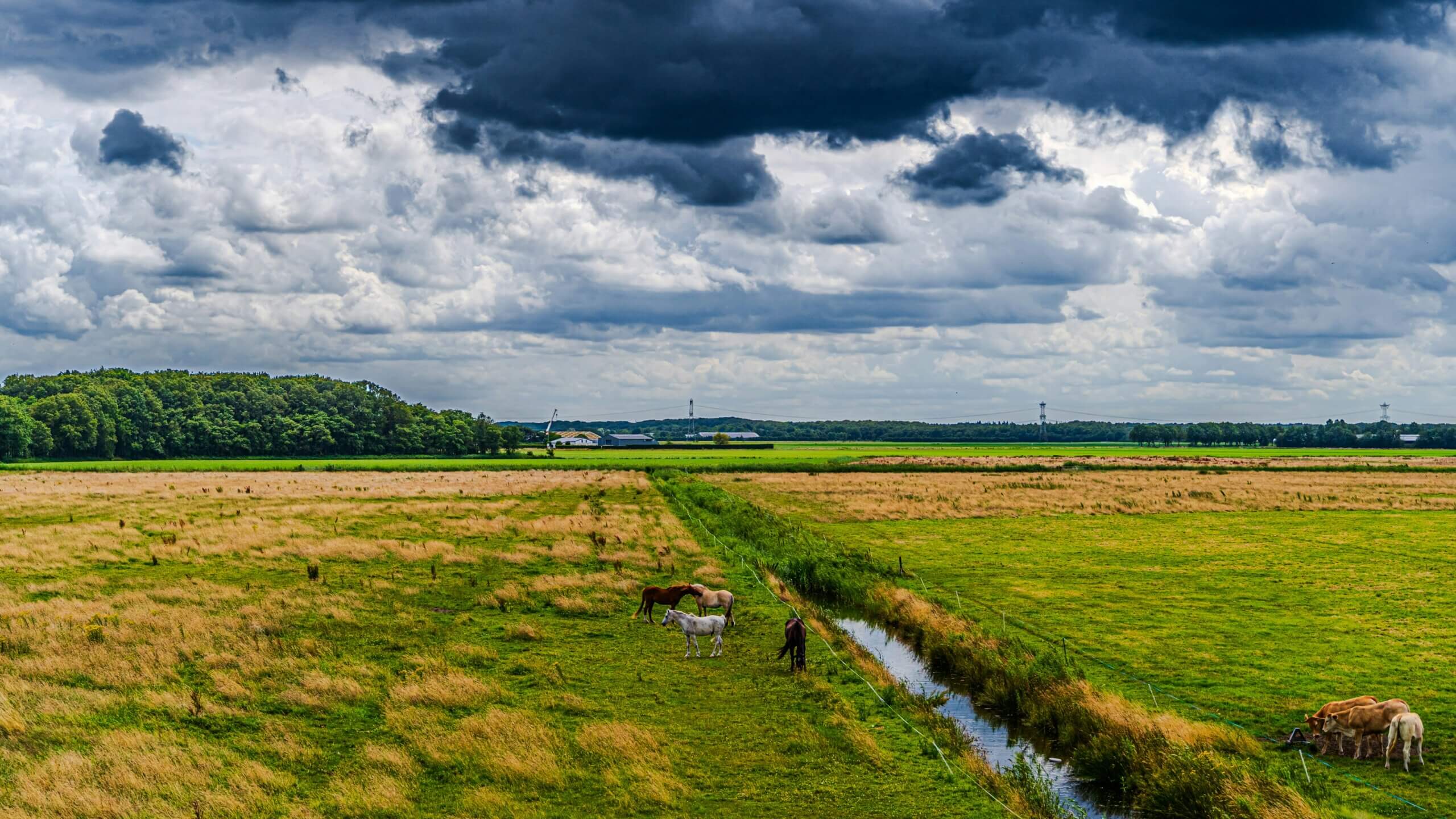 How the OBBB Could Impact Taxes and Retirement Strategies