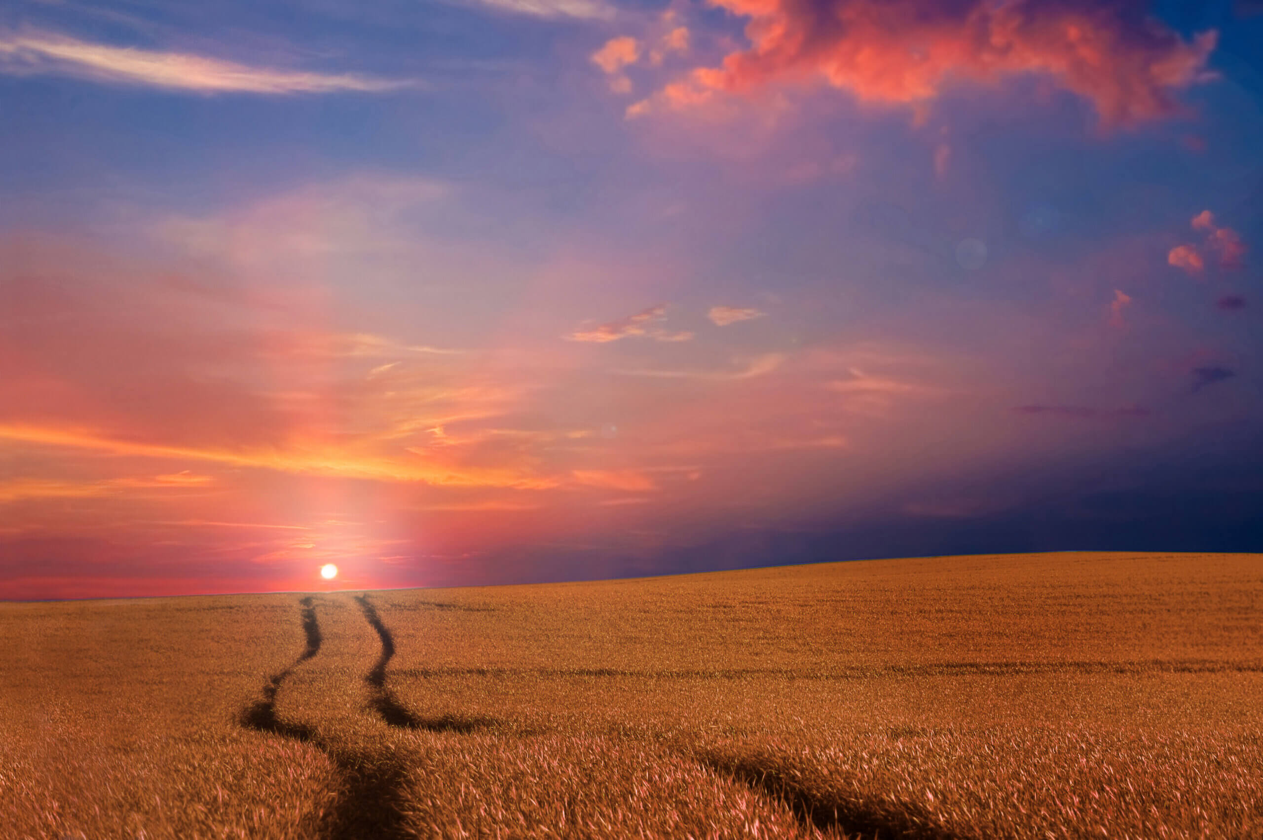 How Do I Know If I’m Really Ready to Retire?