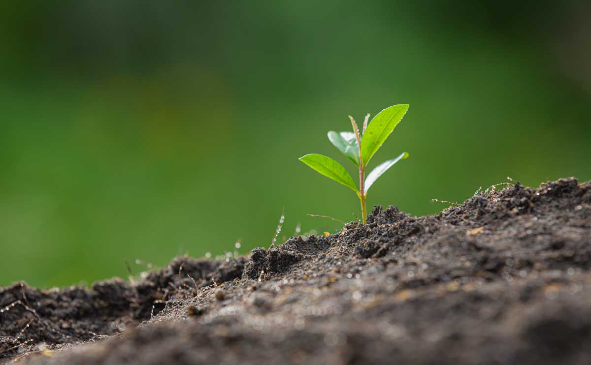 Pine Grove Financial Group Named Best Financial Advisory Firm by USA Today