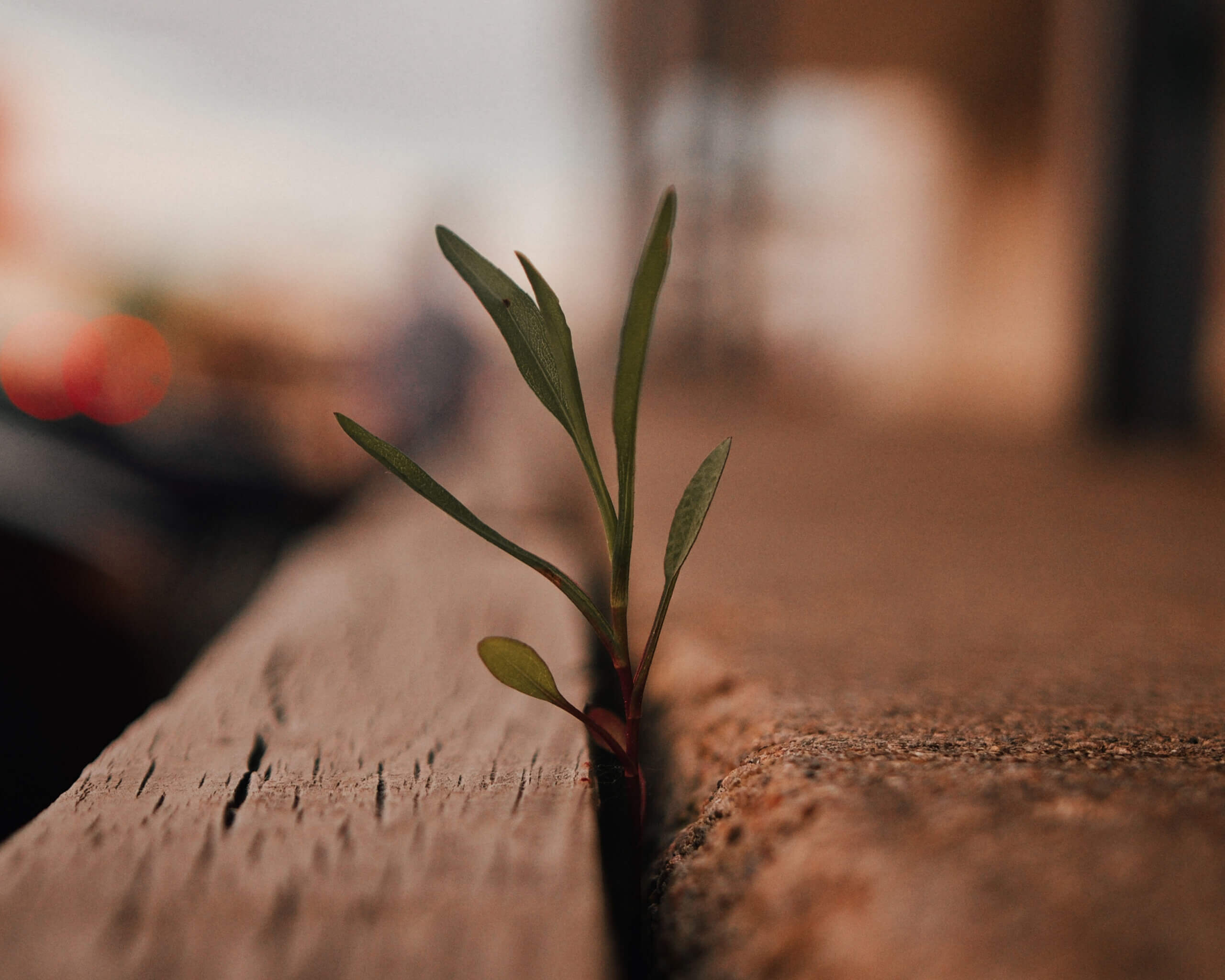 Why Executives Can’t Rely on Traditional Retirement Planning Rules
